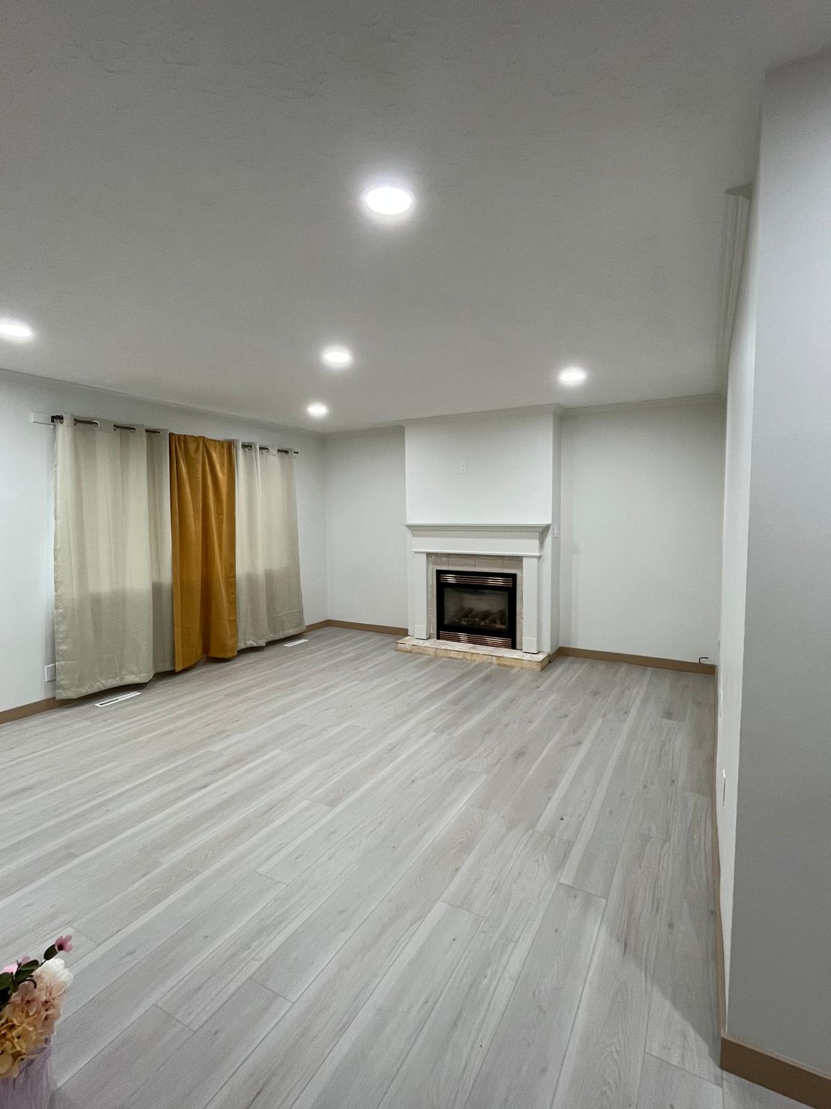 Living Room & Fireplace